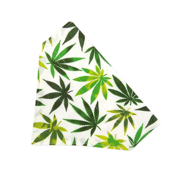 Cannabis Leaf Dog Bandana