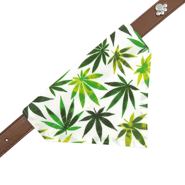 Cannabis Leaf Dog Bandana