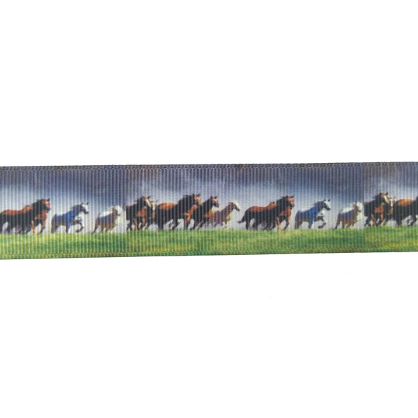 Blue and green horses ribbon