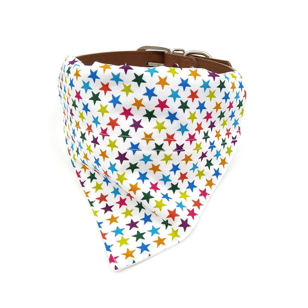 Rainbow stars dog neckerchief on collar from front