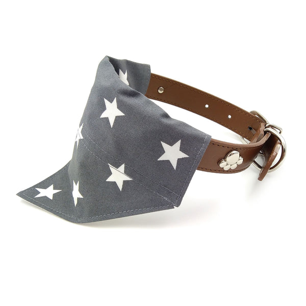 Stars Dog Bandana and Owner Face Mask