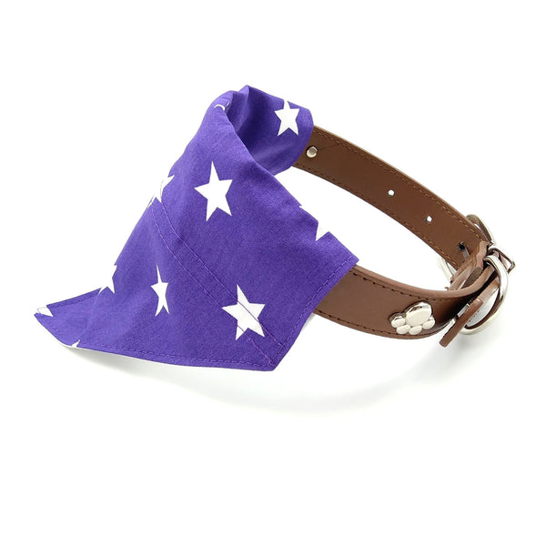 Stars Dog Bandana and Owner Face Mask