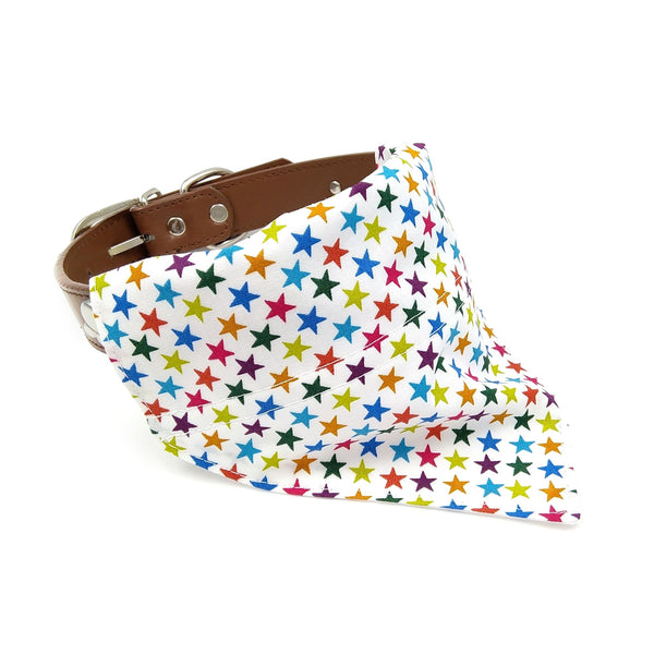 White dog bandana with coloured stars on collar from front