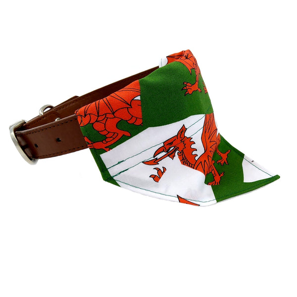 Welsh flag puppy bandana on dog collar