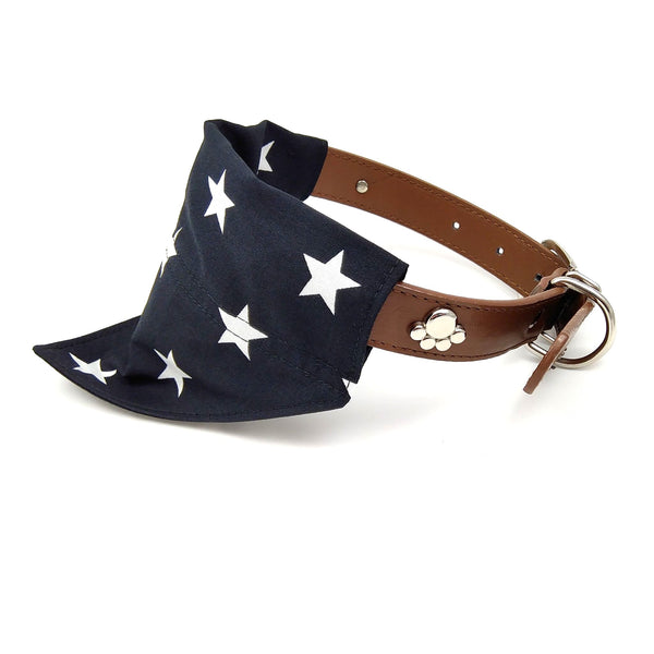 Stars Dog Bandana and Owner Face Mask