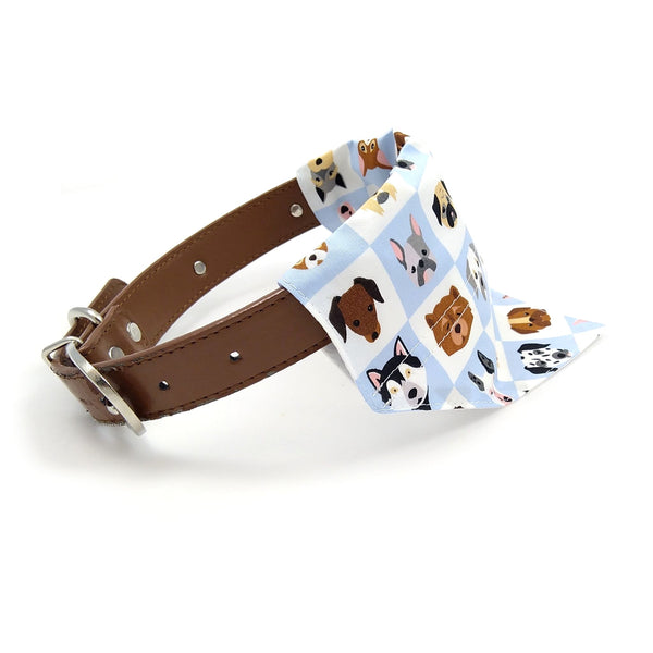 Blue and white dog breeds bandana on collar 