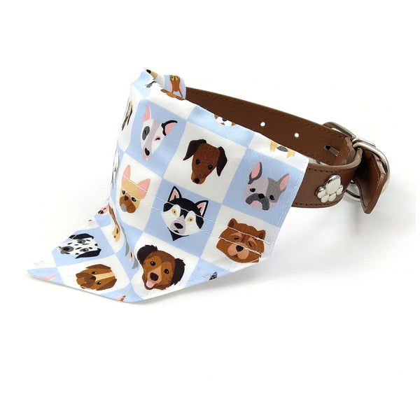 Dog breeds bandana on collar from side