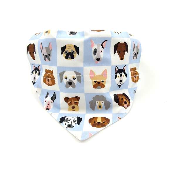 dog breeds neckerchief on collar from front