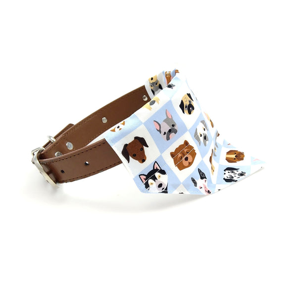 Dog breeds over the collar bandana on collar from side