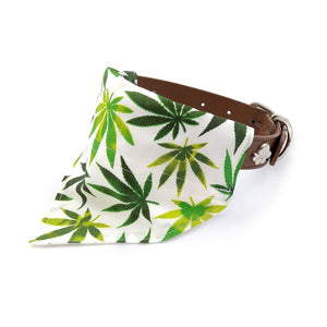 Cannabis Leaf Dog Bandana