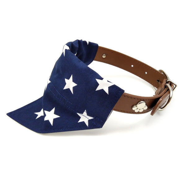 Stars Dog Bandana and Owner Face Mask