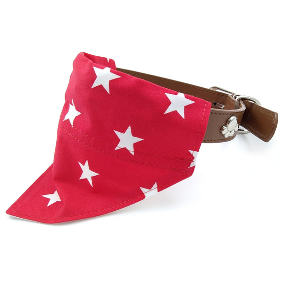 Stars Dog Bandana and Owner Face Mask