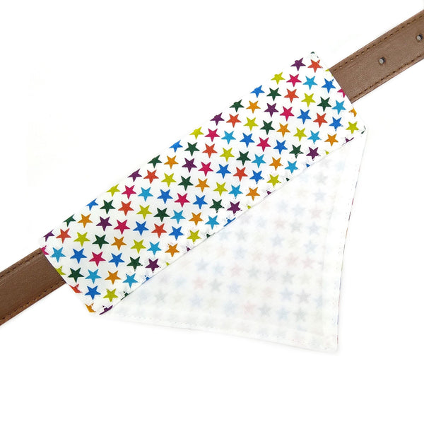 back of lined white with coloured stars dog bandana on collar from above